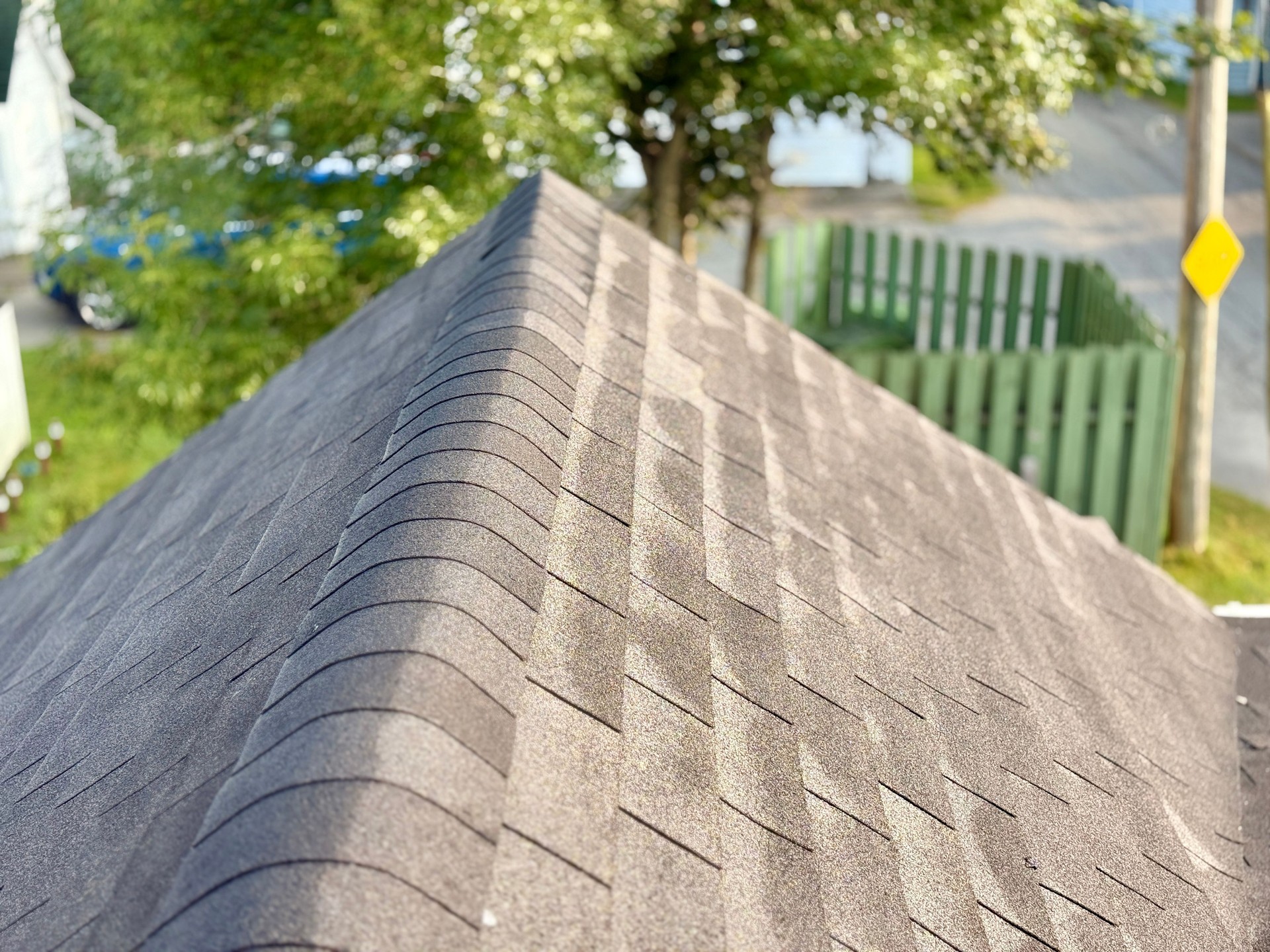 Shingle Home Roof